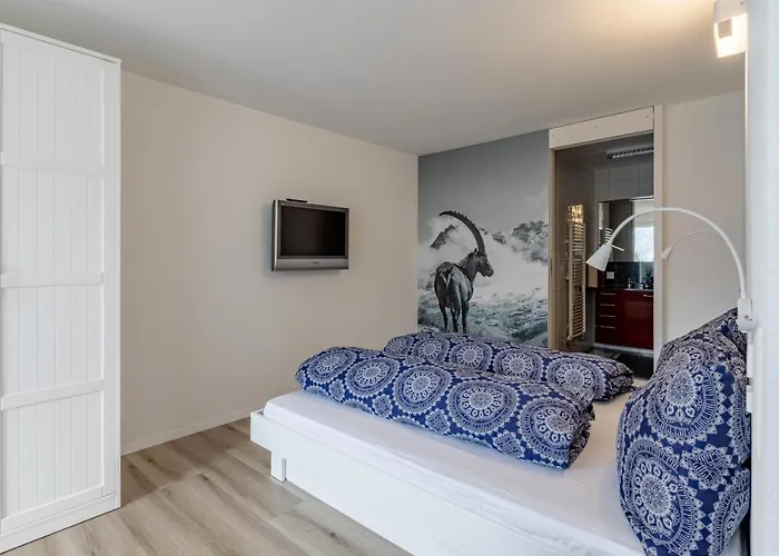 公寓 Alexandra 513 阿罗萨